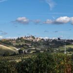 trekking Neive Barbaresco Trek Vigne Lifeintrek