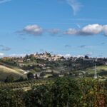 trekking Neive autunno vigneti Barbaresco Trek Vigne Lifeintrek