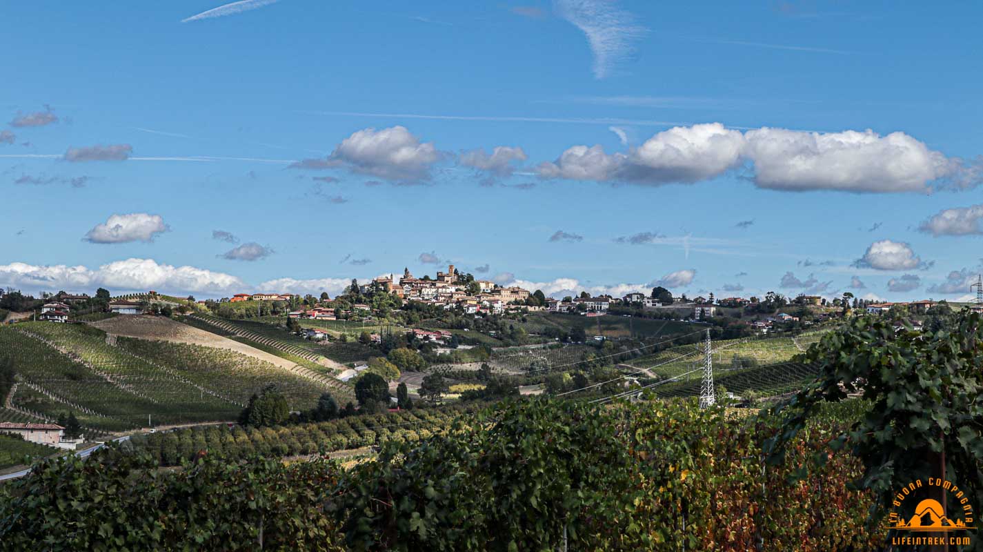 trekking Neive autunno vigneti Barbaresco Trek Vigne Lifeintrek