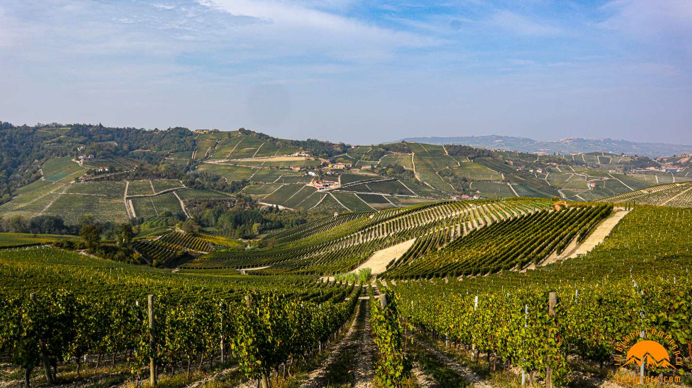 Trek Barolo Monforte Alba Trekking Lifeintrek Vigne Escursionismo