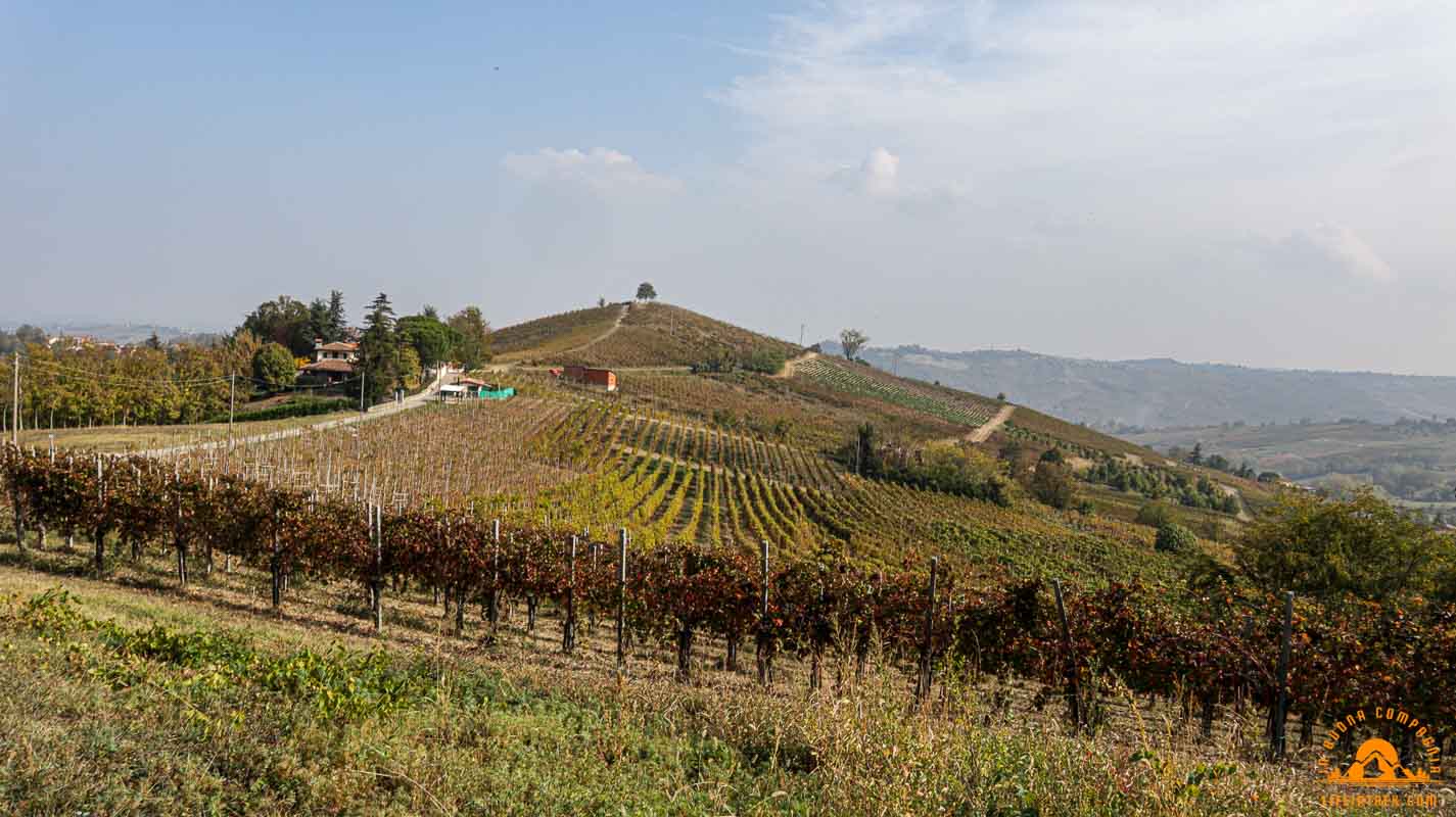 Trek Buttafuoco oltrepo pavese Vigne Trekking Lifeintrek-16