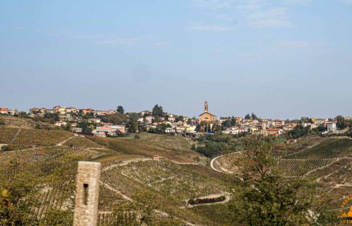 Trek Buttafuoco oltrepo canneto pavese Vigne Trekking Lifeintrek-16