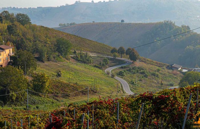 Trek Buttafuoco oltrepo pavese Vigne Trekking vigneti Santa Maria Della Versa Lifeintrek Golferenzo Volpara