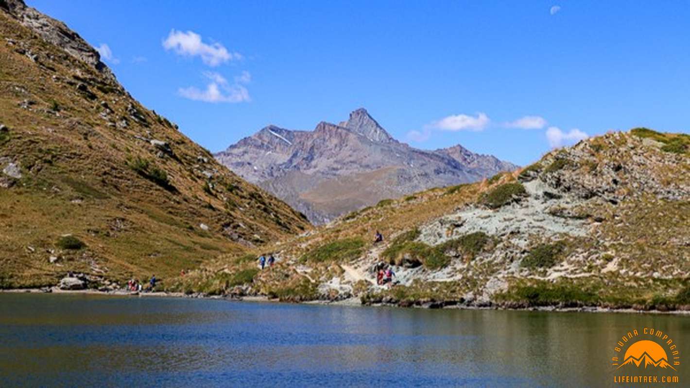 Trekking Cogne Grivola Lago Loie Herbetet Grivola Monte Bianco Tersiva Trek Lifeintrek