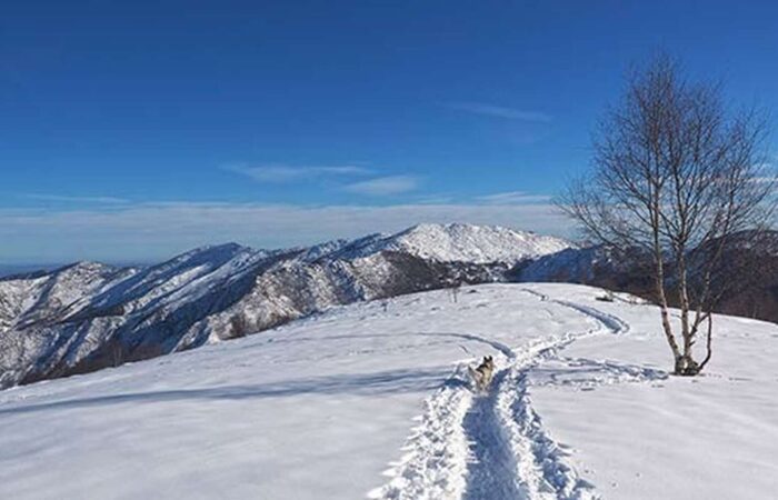 Valle Orco Carro Trekking gruppo per fare trek Lifeintrek Ciaspole Ciapolate Zainoinspalla Piemonte Cima Bossola Val Chiusella