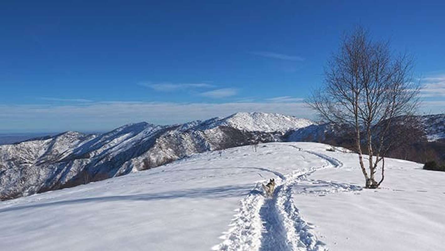 Valle Orco Carro Trekking Lifeintrek Ciaspole Ciapolate Zainoinspalla Piemonte Cima Bossola Val Chiusella
