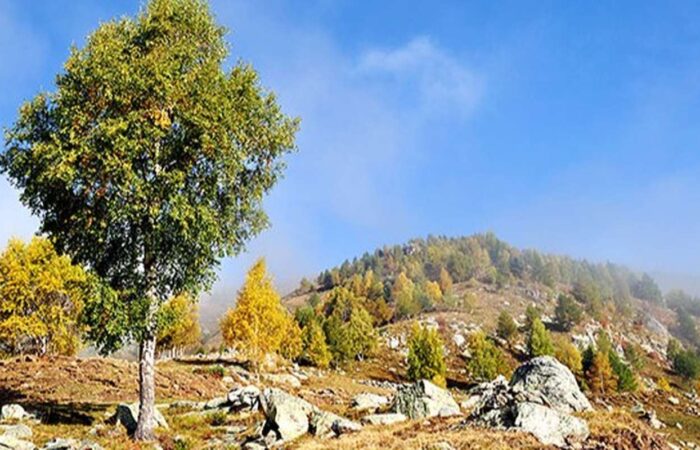 Trekking Zainoinspalla Lifeintrek Becca di Nona Trek Hike 3000 Montagna Panorami