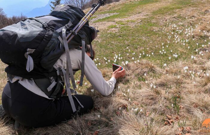 Trekking Trek Monte Cucco Passo San Lucio Val Cavargna Milano Bucaneve Primavera Lifeintrek