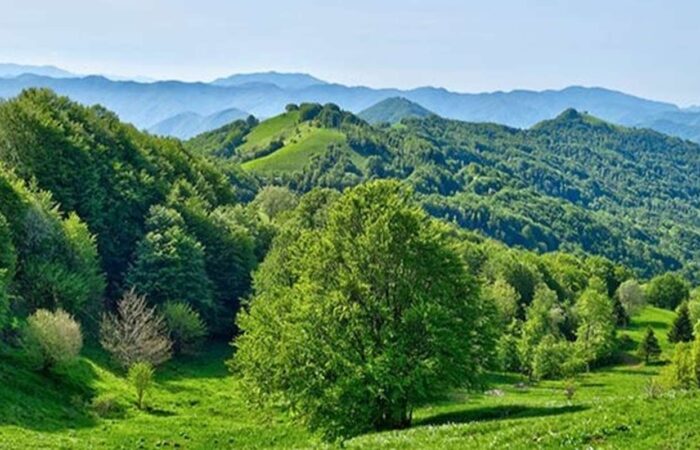 trekking Monte Antola Zainoinspalla Gruppo Milano Lifeintrek Parco beigua 1