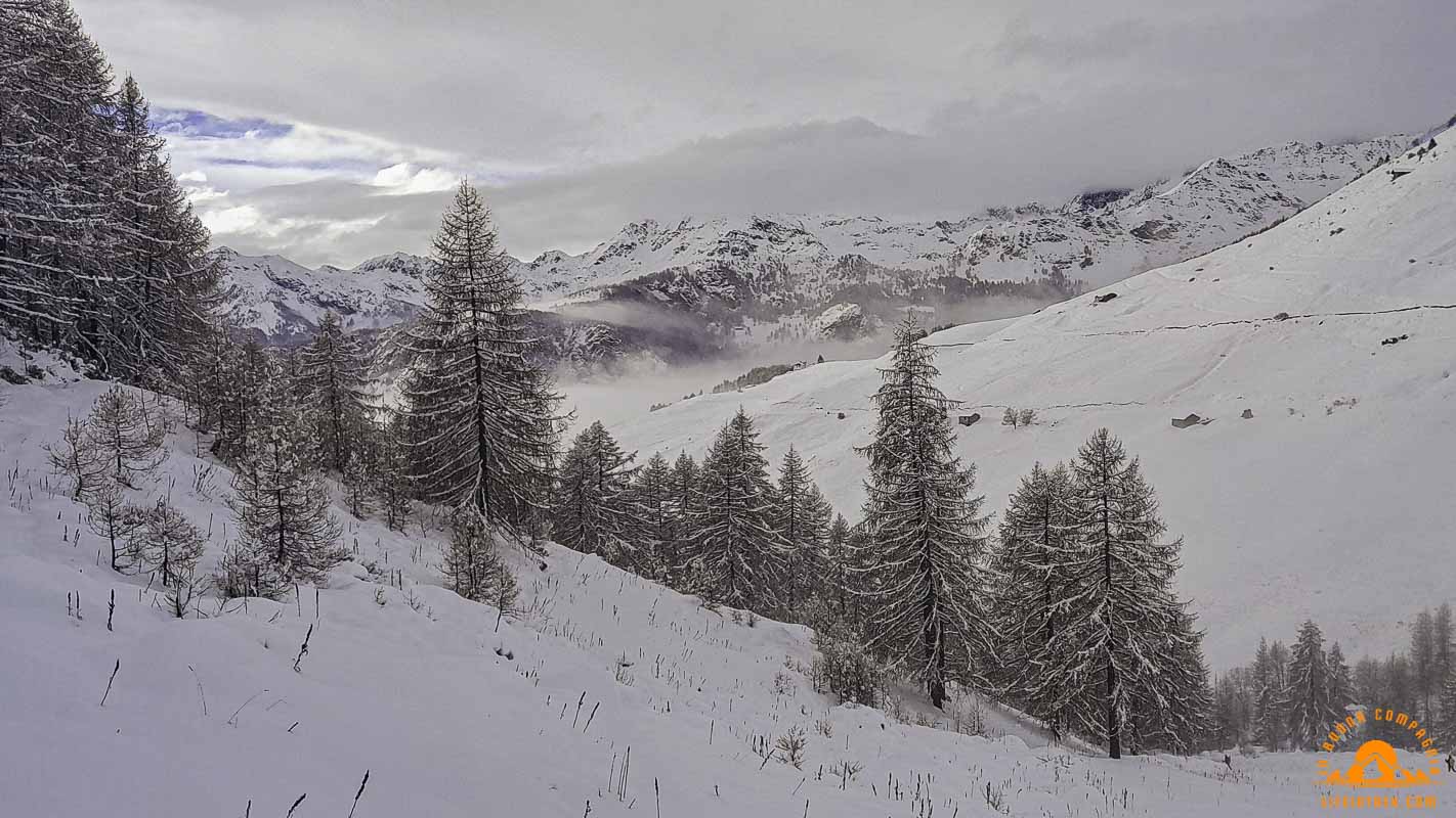 Ciaspolata Chamois Aosta Neve Trekking Lifeintrek