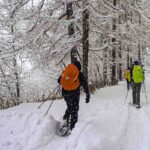 Guanti per il trekking ed escursionismo invernali Ciaspolata e ciaspolate Chamois Aosta Neve Trekking Lifeintrek