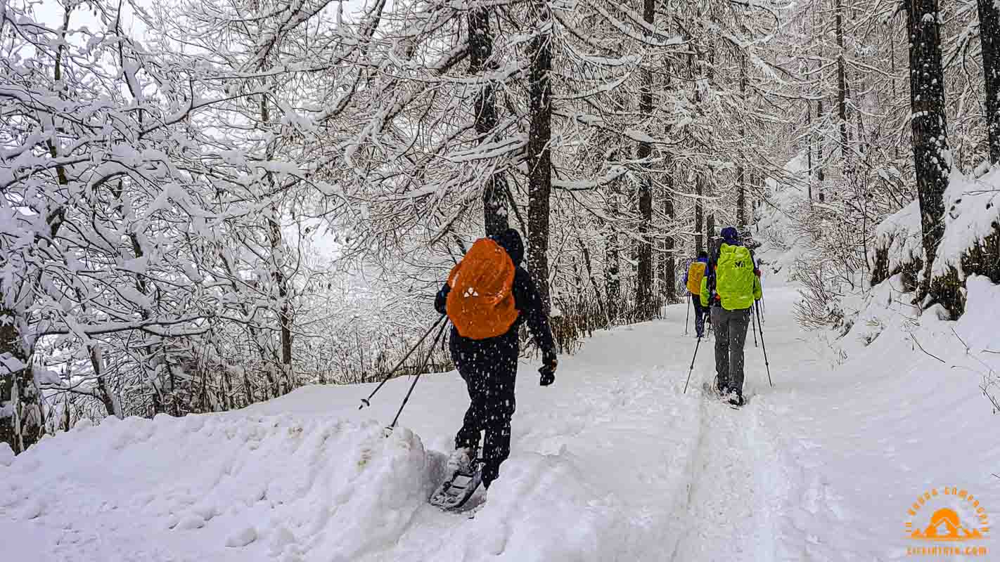 Guanti per il trekking ed escursionismo invernali Ciaspolata e ciaspolate Chamois Aosta Neve Trekking Lifeintrek