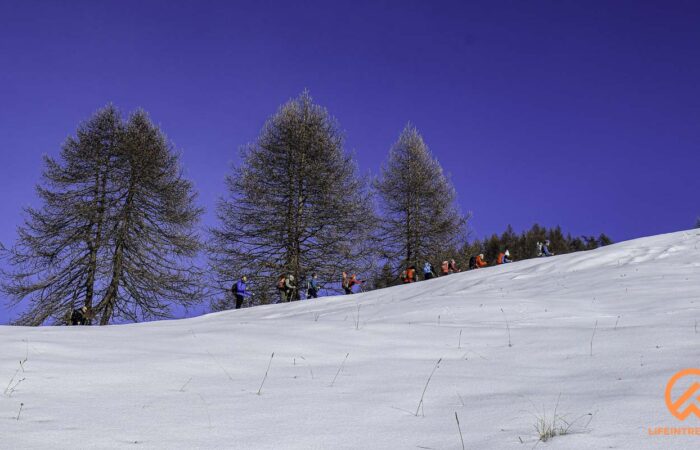 Ciaspolata Gruppo Trekking Milano Legnano Busto Arsizio Gallarete Parabiago Lombardia Piemonte Torino Aosta