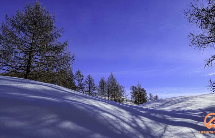 Ciaspolata Gruppo Trekking Milano Legnano Busto Arsizio Gallarete Parabiago Lombardia Piemonte Torino Aosta