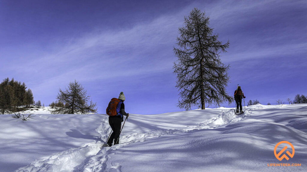 Ciaspolata Gruppo Trekking Milano Legnano Busto Arsizio Gallarete Parabiago Lombardia Piemonte Torino Aosta Gilliarey Lifeintrek