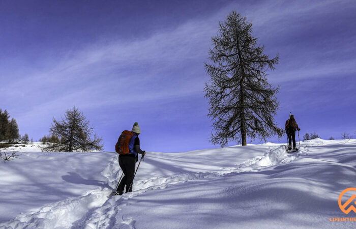 Ciaspolata Gruppo Trekking Milano Legnano Busto Arsizio Gallarete Parabiago Lombardia Piemonte Torino Aosta Gilliarey Lifeintrek