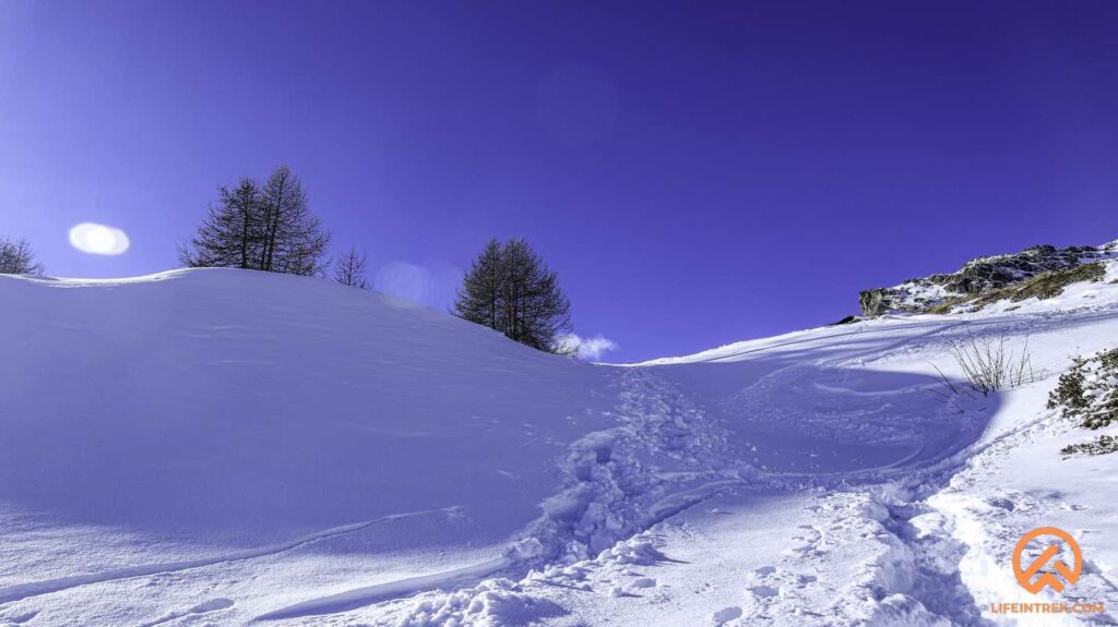 Ciaspolata Monte Ross Avic Gruppo Trekking Torino Novara Milano Legnano