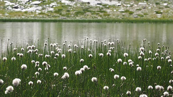 laghi del pinter champoluc gruppo trek milano legnano lombardia montagna in compagnia gruppo lifeintrek milano