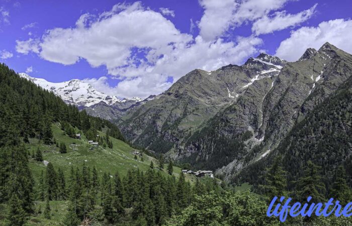 Monte Rosa Sentiero walser gressoney Rifugio Alpenzu Gruppo Trekking panoraico Milano Varese