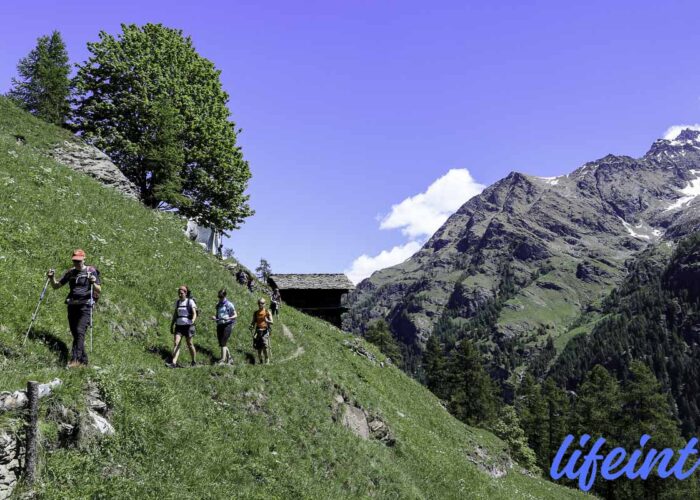 Rifugio Alpenzu Gruppo Trekking panoraico Milano Varese
