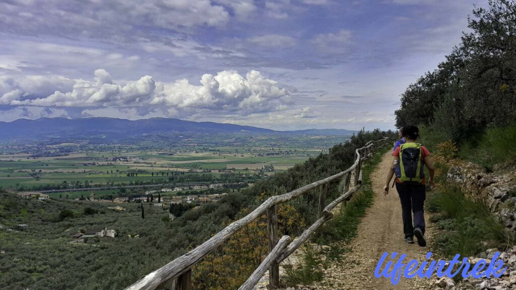 Sentiero degli Ulivi Trekking Umbria Lifeintrek Cammino di San Francesco