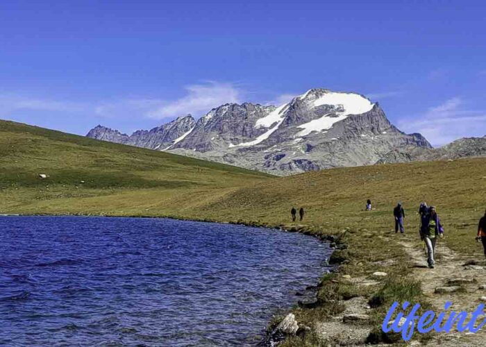 Gran Paradiso, la sua altezza, dove si trova, le vie Alpinistiche per raggiungere la cima, i rifugi, altri itinerari del Parco.