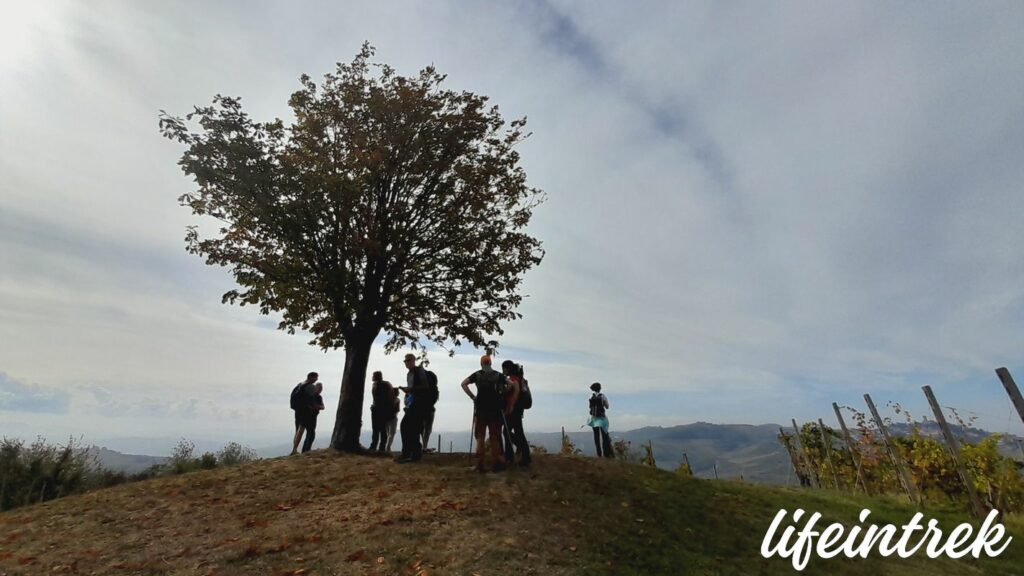 Alberi di Confine in Oltre Po