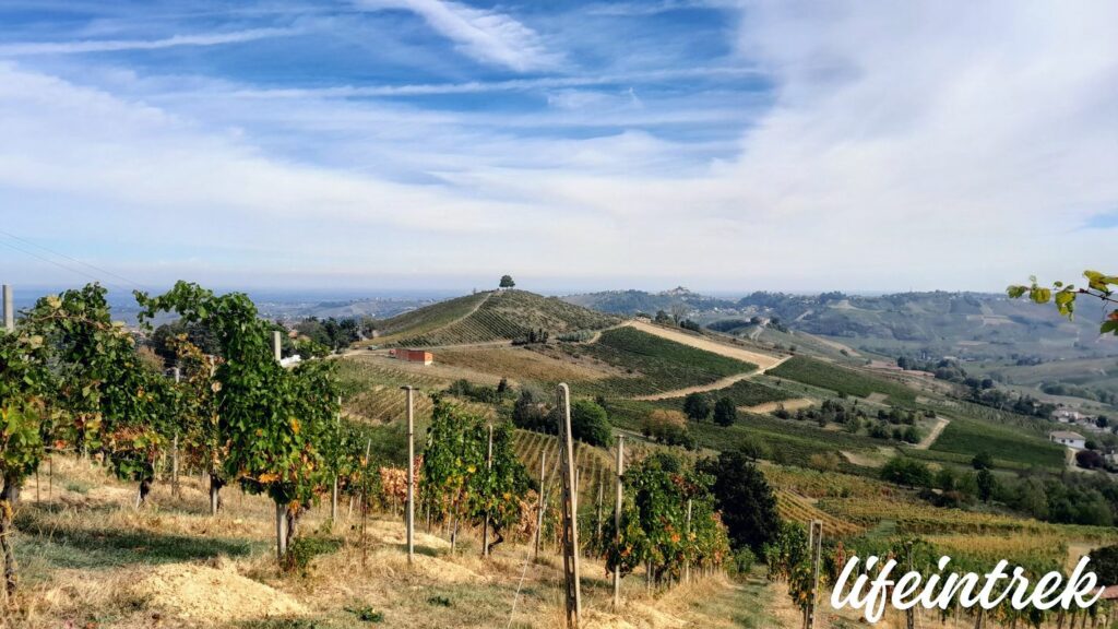 Canneto Pavese Oltre Po Pavese Wine Trekking co Lifeintrek