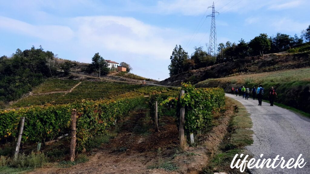 Stato dei sentieri sel sentiero del Moscato
Escursioni e sentieri tra le colline