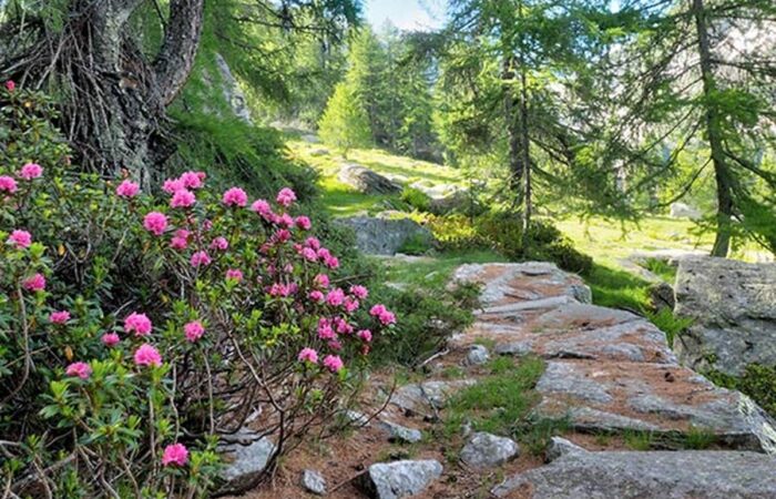 Sentieri Valle di Gressoney