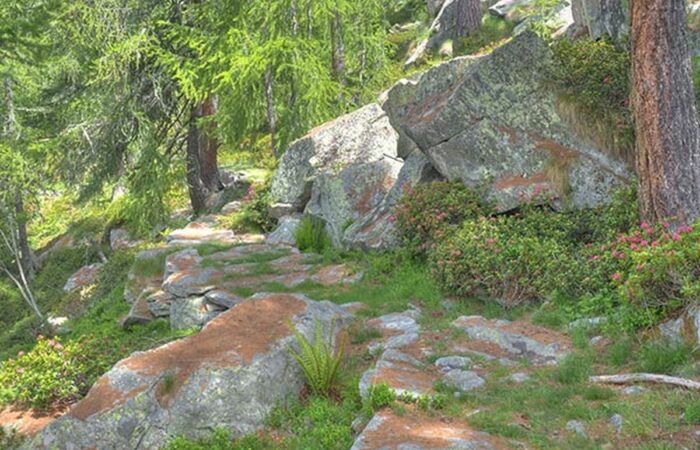 Sentieri Valle di Gressoney Gruppo Trekking Varese Raggiungere Colle Mologna Piccola