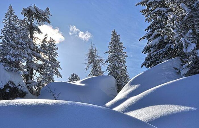 Sentieri Innevati Engadina Passo del Malolja