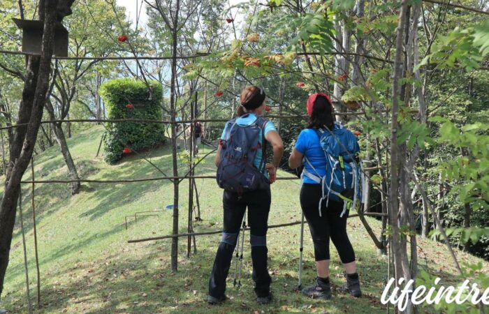 Monte Gioco una delle escursioni nelle Orobie Lombarde con il gruppo trekking Lombardo Lifeintrek il gruppo Escursioni Provincia di Milano.