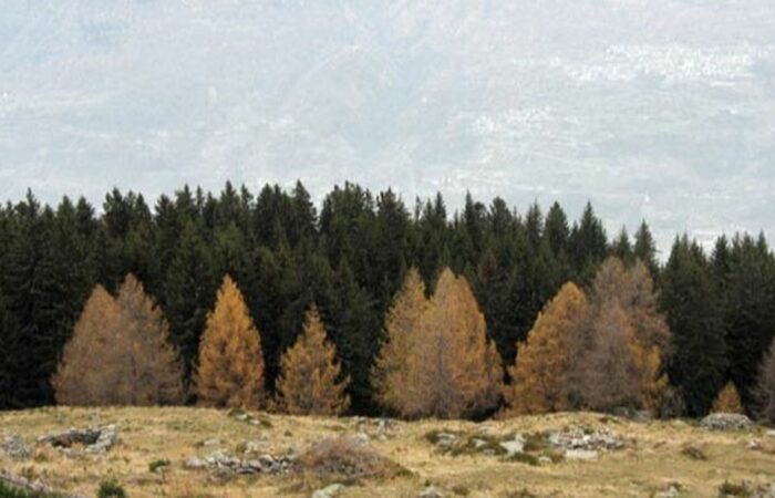 Motto Di Olano Val Gerola Gruppo escursionistico Milano