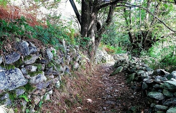 Sentiero Dei Castagni Lago Maggiore Gruppo Trekking Piemonte