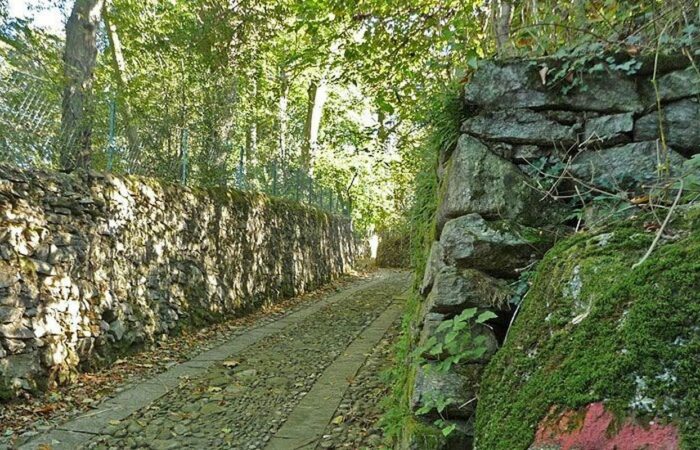 Sentiero Dei Castagni Lago Maggiore Gruppo Trekking Piemonte