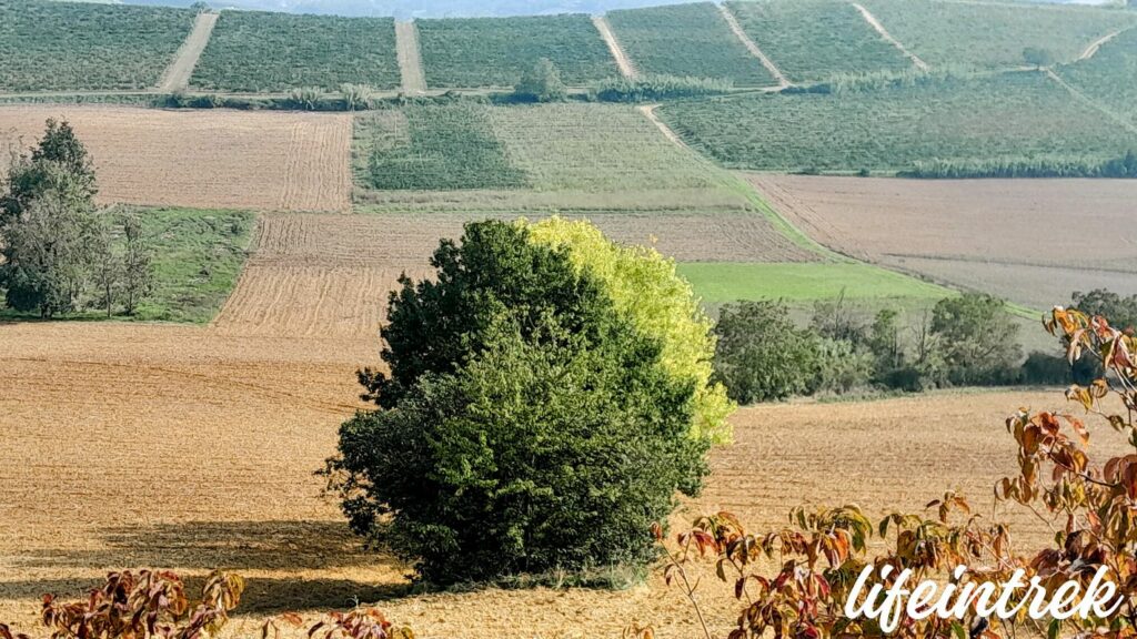 Autunno nel trek in monferrato