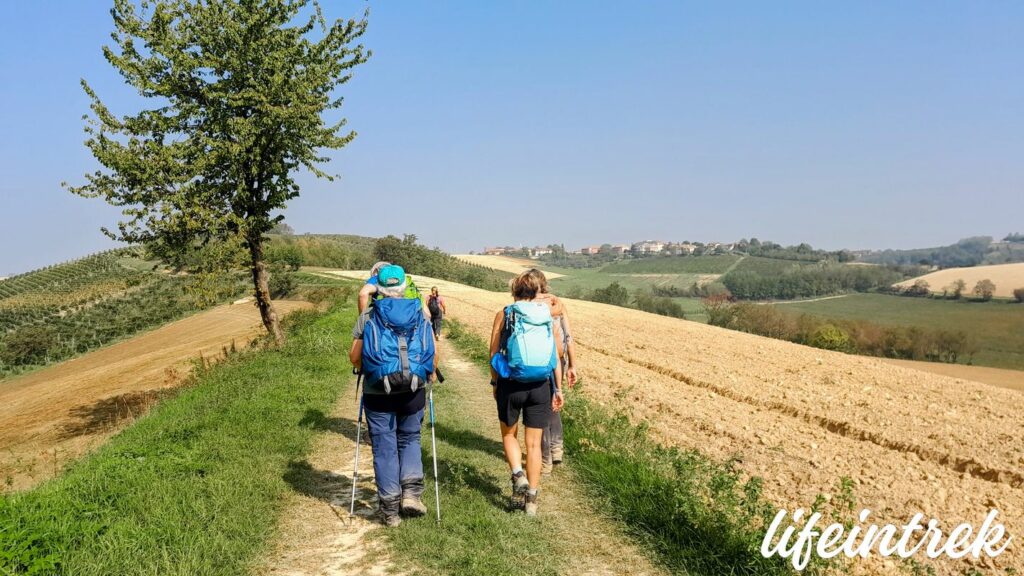 trekking tra le vigne nel Monferrato con Lifeintrek