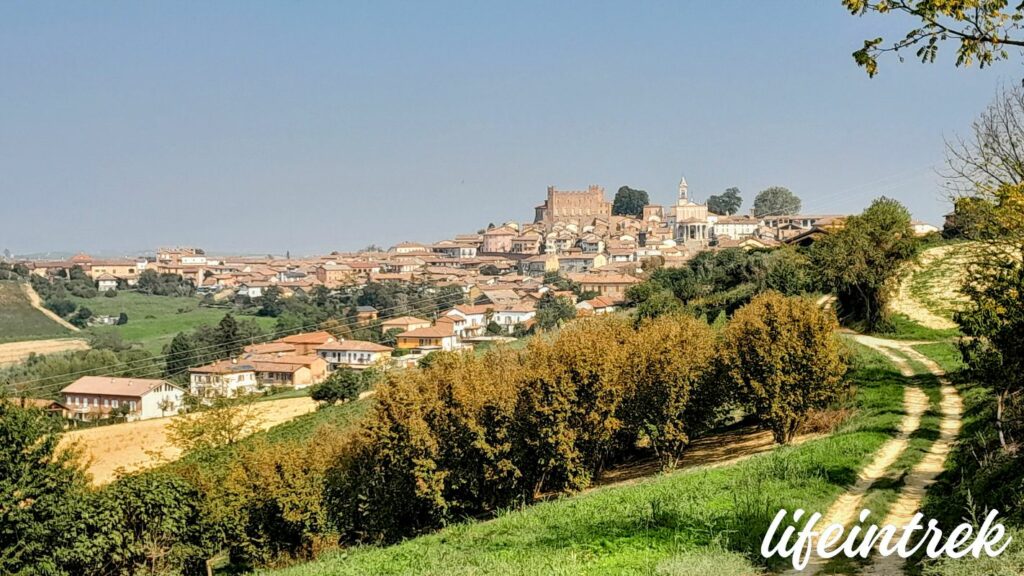 Tra le vigne di Montemagno