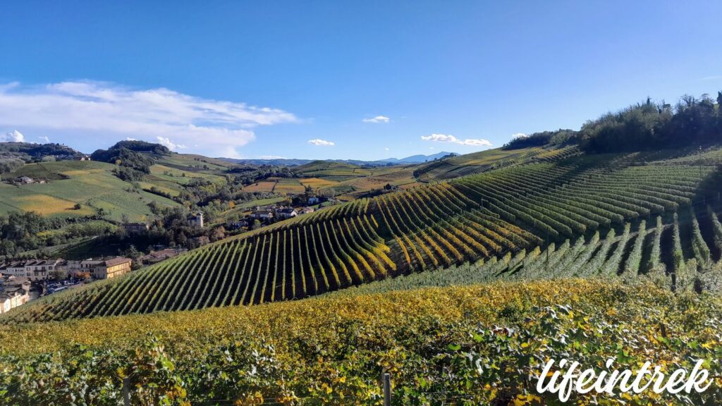 Trekking Barolo e La Morra Novello