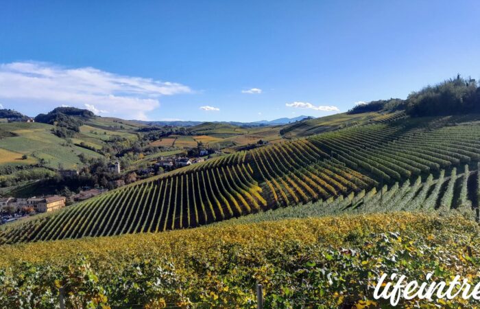 Trekking Barolo