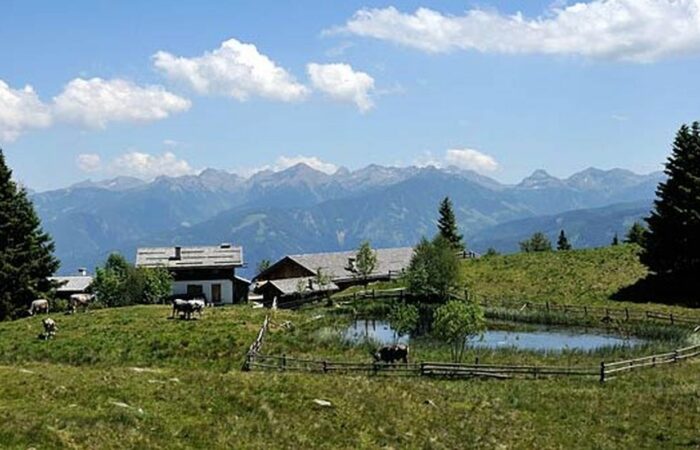 Malga Cislon Trodena