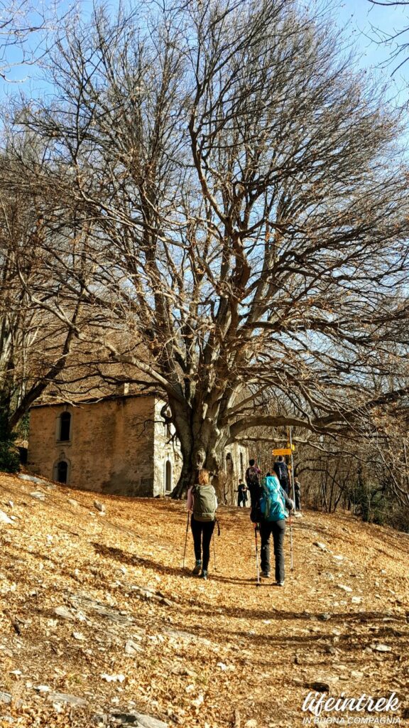 Monte Sangiorgio fossili Faggio Centenario
Trekking Monte Sangiorgio
Sangiorgio Unesco