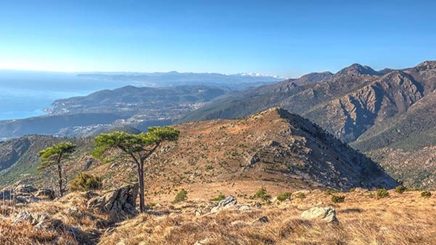 Monte Tardia Argentera Mare Ligure