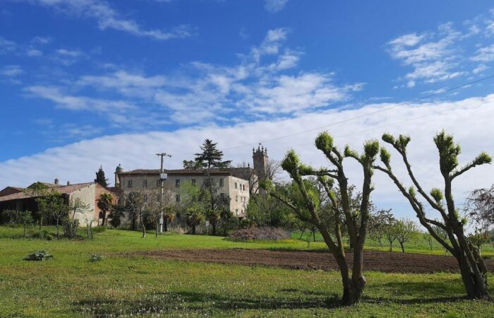 Sentiero Madonna Del Monte Escursione in Val Tidone Montalbo Ortrugo
