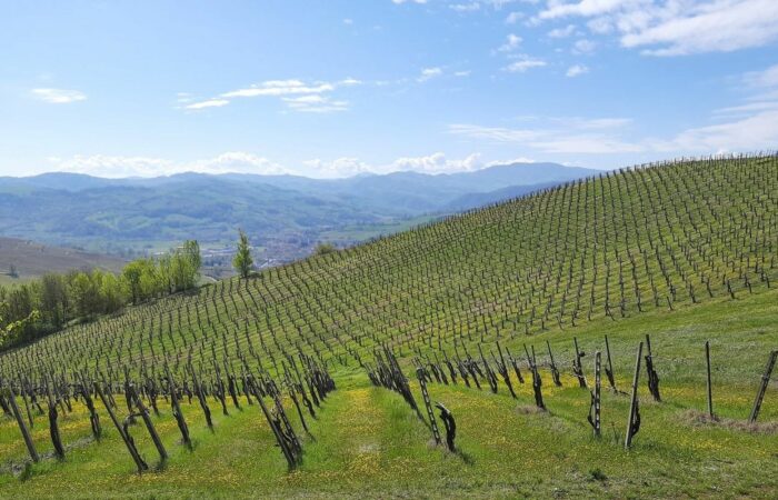 Val Tidone Trekking Colline Vigneti