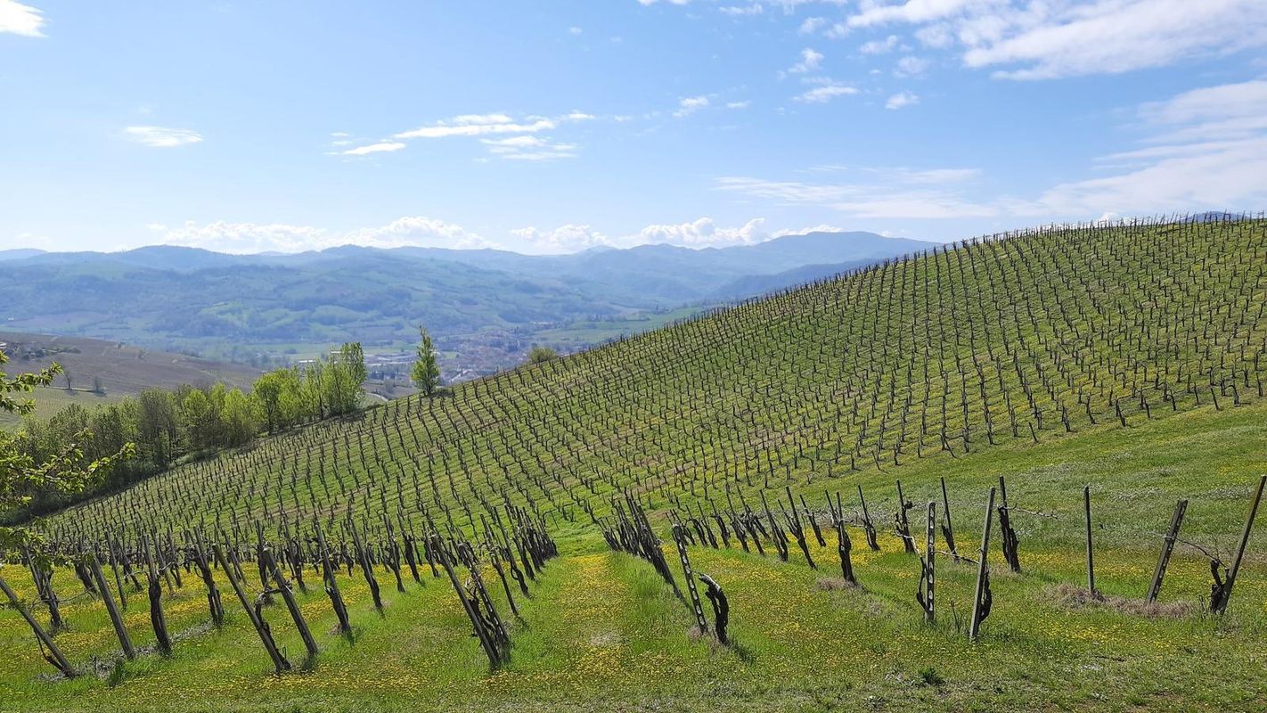 Val Tidone Trekking Colline Vigneti