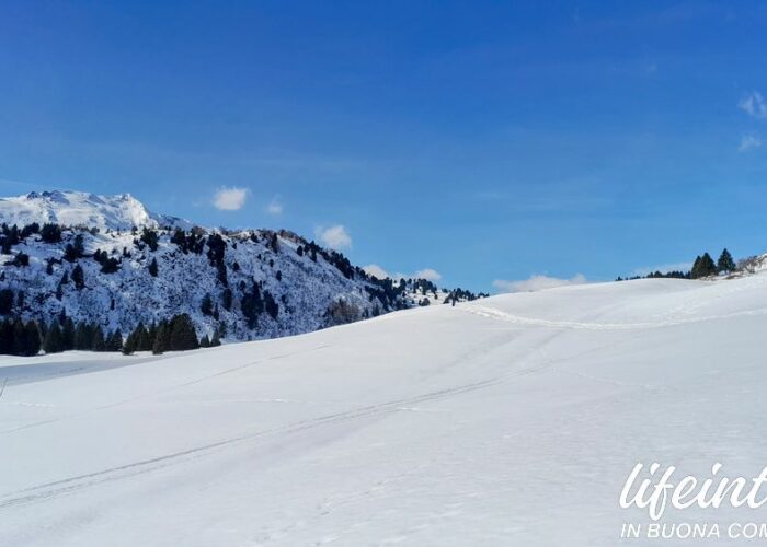 Capanna Dotra Rifugio Svizzero raggiungibile in inverno