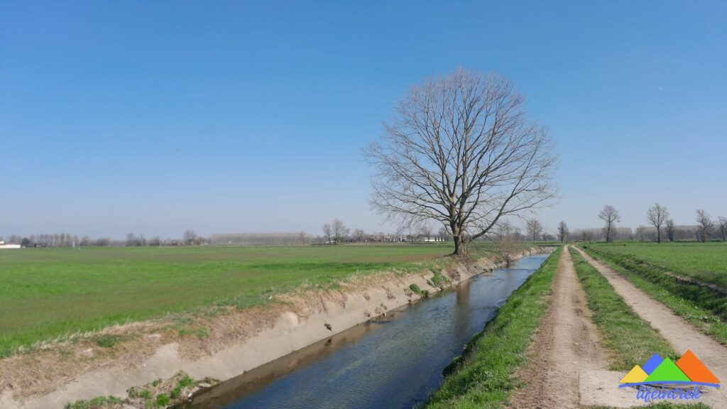 Regge e Riali delle campagne Lombarde