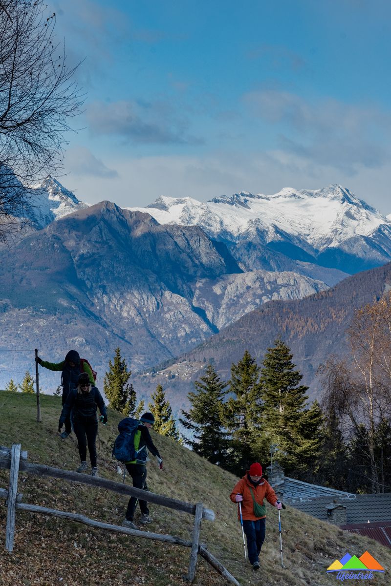 Otto Anni di Franz (10)